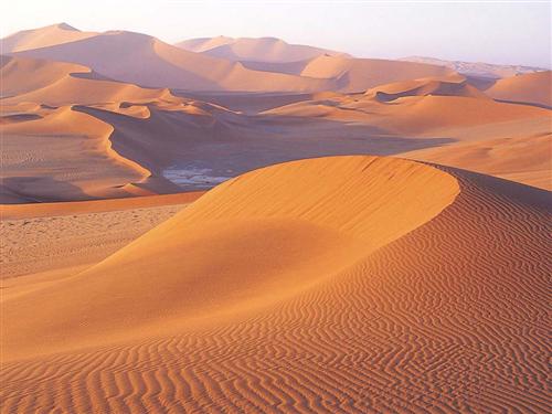 desert.jpg