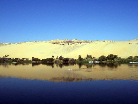 Le Mnevis