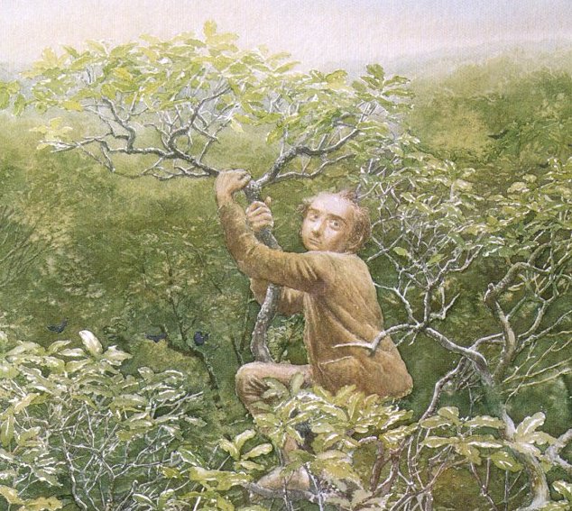 Hobbit