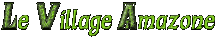 village_amazone_lieu.gif