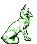 faun.png